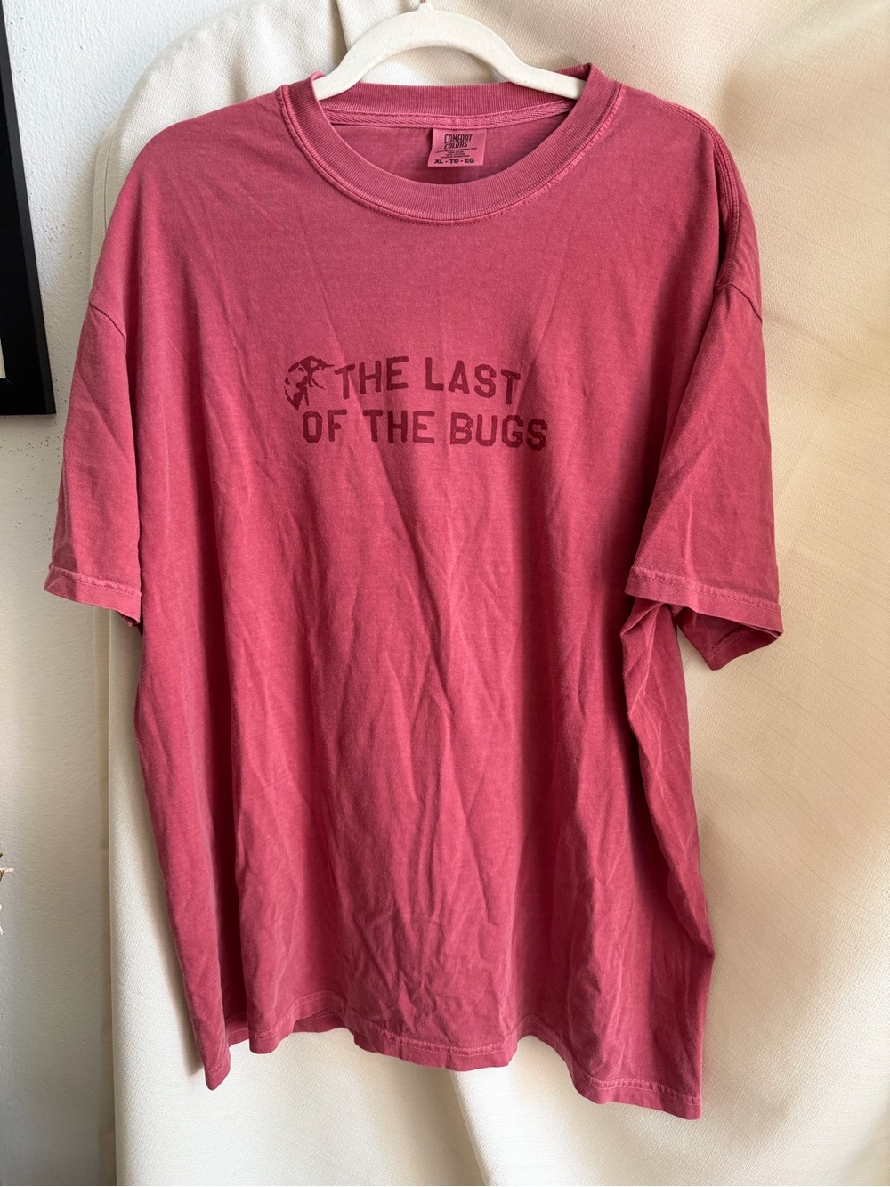 Official Noah Kahan Tour Shirt - 'The Last of the Bugs' Graphic